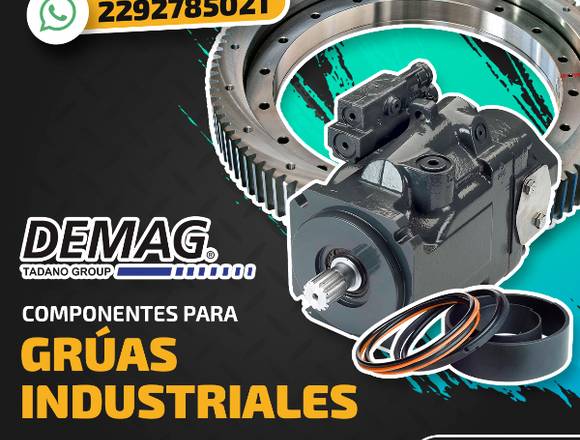 COMPONENTES PARA GRÚAS INDUSTRIALES DEMAG en San Luis Potosí (Municipio)