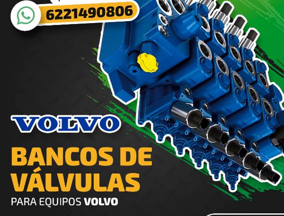 BANCOS DE VÁLVULAS PARA EXCAVADORAS VOLVO en Lázaro Cárdenas (Municipio)