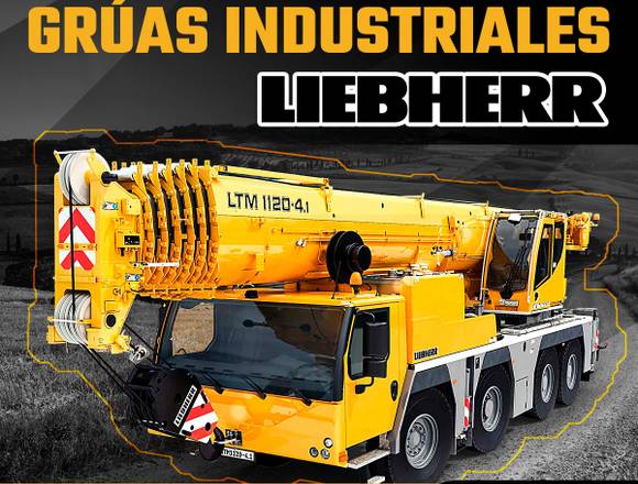 REFACCIONES PARA GRÚAS INDUSTRIALES LIEBHERR en Coyoacán (Municipio)