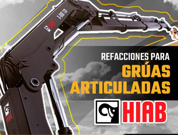 REFACCIONES PARA GRÚAS ARTICULADAS HIAB en Pachuca de Soto (Municipio)