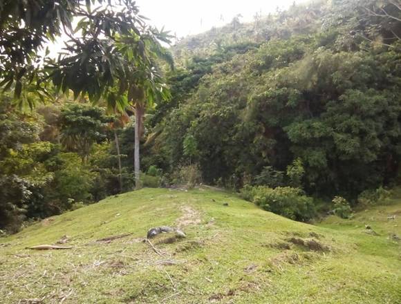 Vendo finca en Las Garitas, Samaná en Sánchez (Municipio)