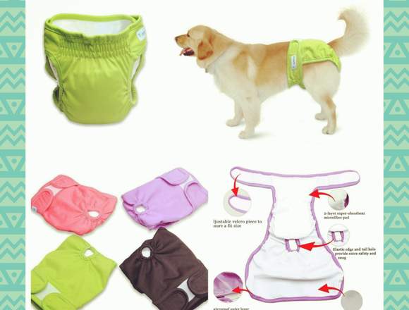 Pañales reutilizables para mascotas en San Borja (Lima 41) (Distrito)