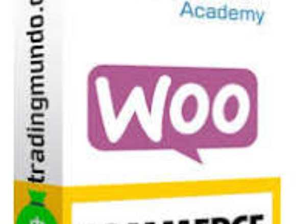 Cursó completo de Big SEO WOOCOMERCE en Junín (Municipio)
