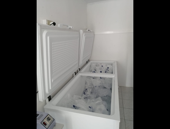 Ventas de Hielo al por Mayor en Algarrobo (Comuna)