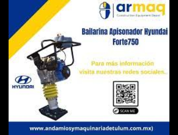 APISONADORA FORTE 750 en Tulum (Municipio)