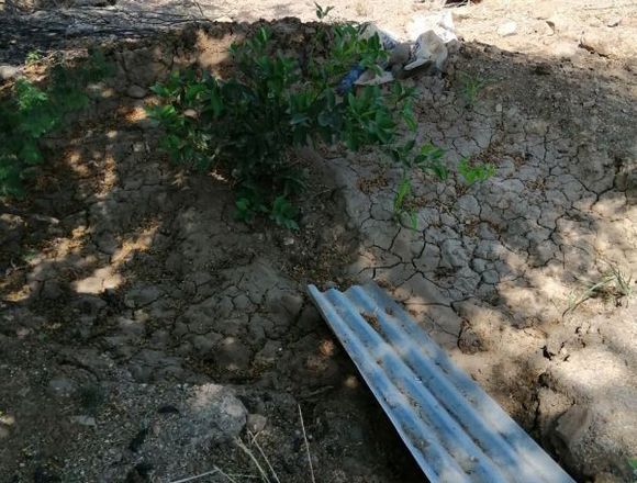 Se vende hectárea de terreno en Tambo Grande (Distrito)
