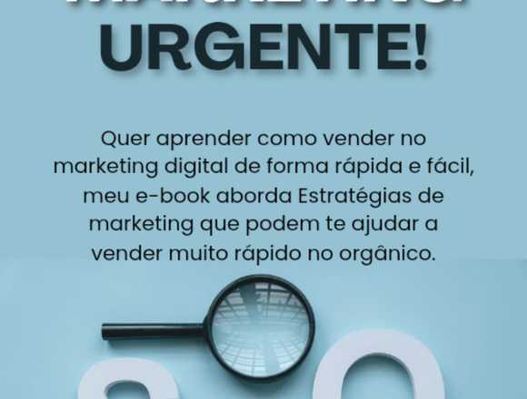 EBOOK como venderno markting digital em São Paulo (Municipio)