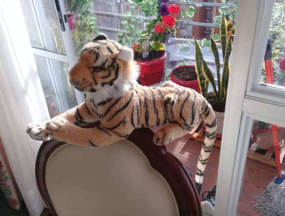 TIGRES DECORATIVO en Bogotá, D.C. (Municipio)