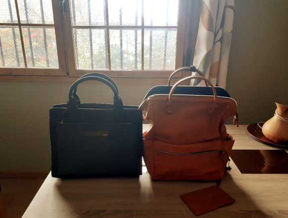 Bolsos de mano uno de ellos con asas mochila