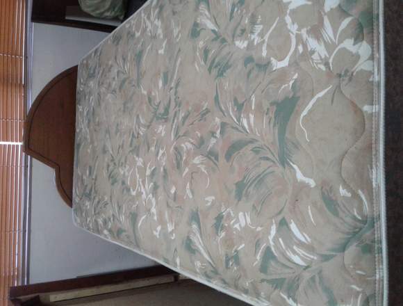 VENDO LOTE DE CAMAS CON SUS BASES, EN BUEN ESTADO. en San José (Cantón)