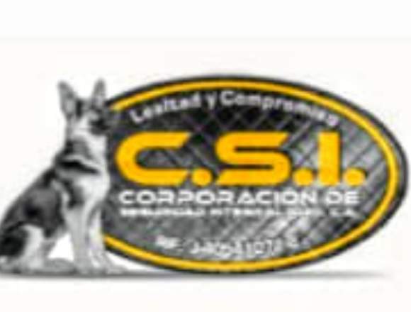 Servicio de seguridad y escoltas en Valencia (Municipio)