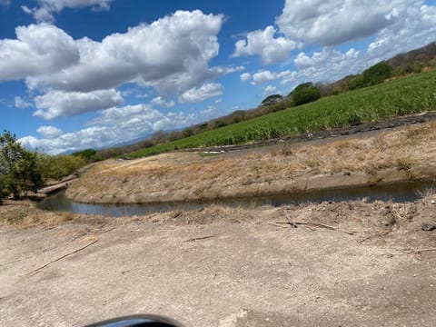 Finca de 136 Ha con riego en Bagaces en Bagaces (Cantón)