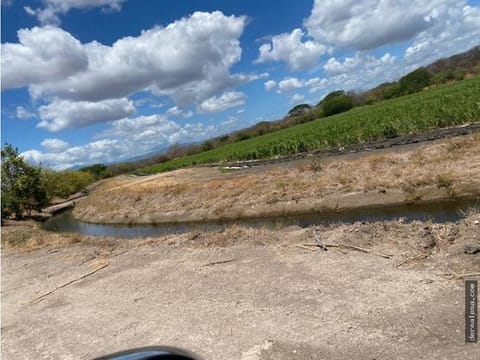 Finca de 136 Ha con riego en Bagaces