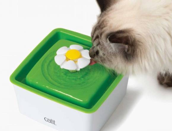 Bebedero para gatos + set de limpieza Catit en Puente Alto (Comuna)