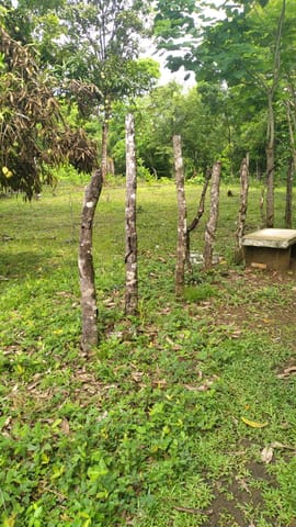 Se vende terreno en Rio de Jesús, Veraguas