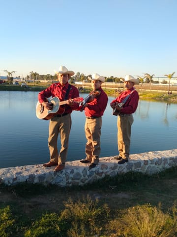 Trio huasteco para fiestas en ecatepec