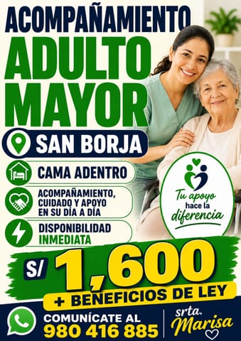 Acompañamiento de adulto mayor en San Borja en San Borja (Lima 41) (Distrito)