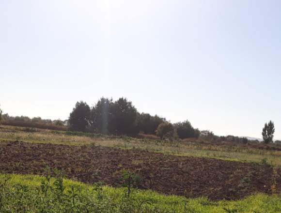 Se vende terrenos por Hectárea y por lote en San Clemente (Comuna)