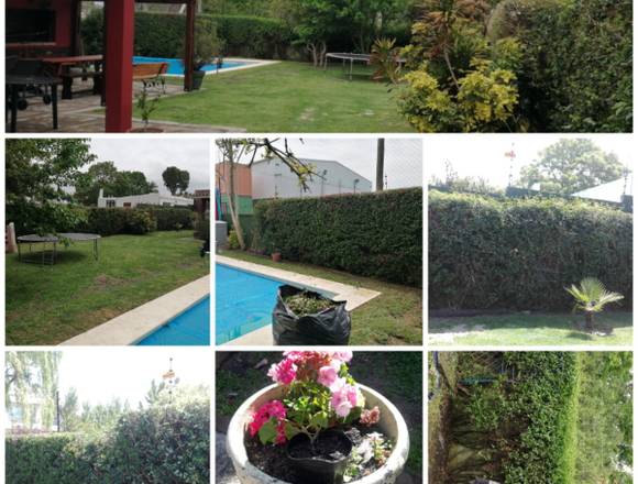 Servicio de jardinería (diego) 0 en Paso Carrasco (Localidad)