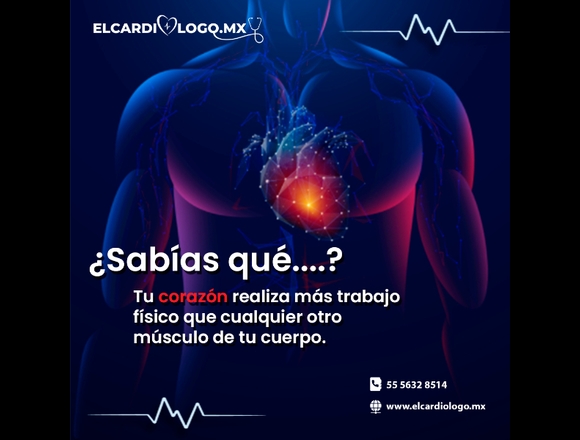 ¿Sabías Qué?