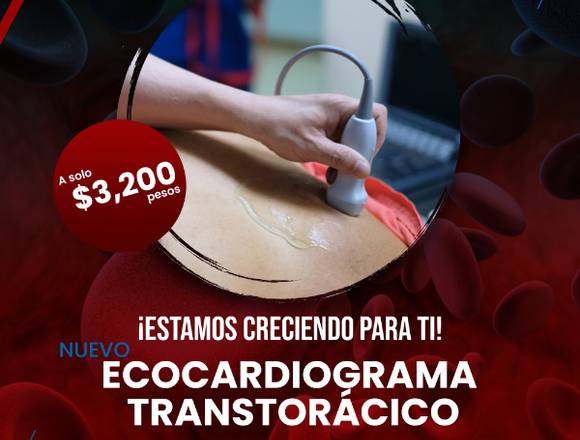 Ecocardiograma transtorácico