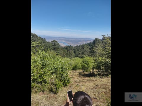 RANCHO EN MAZAMITLA DE 84 HECTAREAS