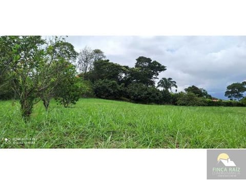 Lote Plano De 1 Fanegada En Condominio Ubicado Sobre La Vía Principal
