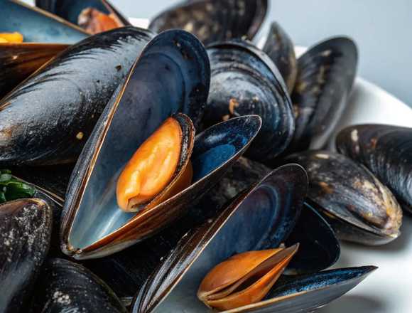 Mariscos Frescos Entregados a Tu Puerta en Escazú (Cantón)