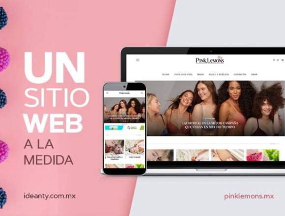 Página web profesional en Gustavo A. Madero (Municipio)