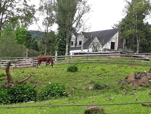 sítio em Gramado RS, com 1,4 hectares em Gramado (Municipio)