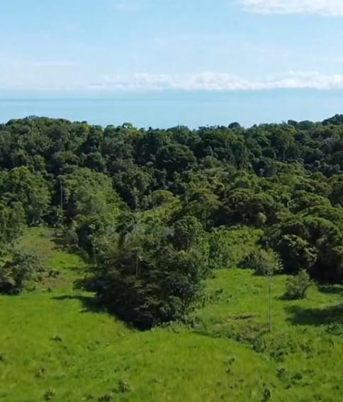Bahía Drake: Un Paraíso de 17 Hectáreas