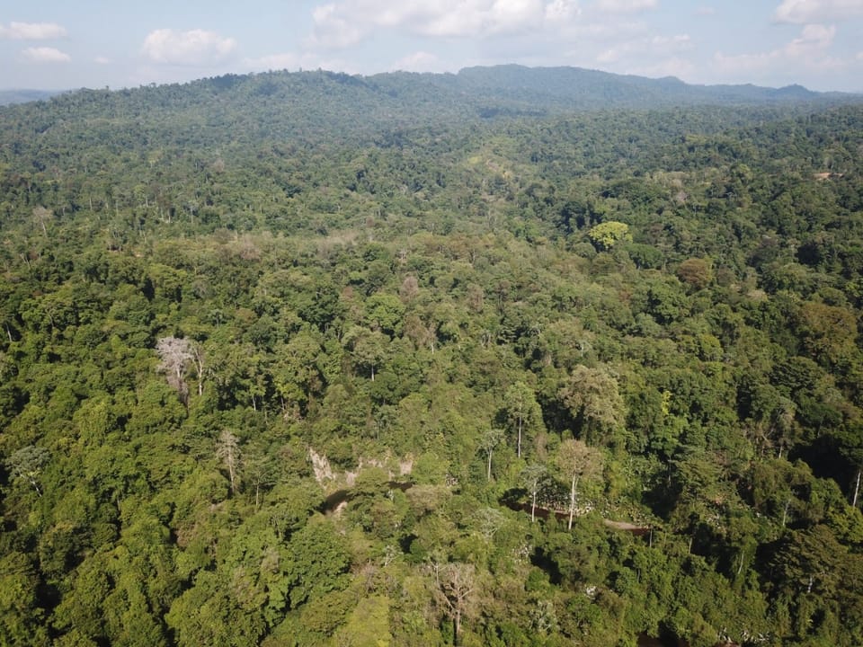Propiedad de Eco-Lodge– The Jungle Getaway