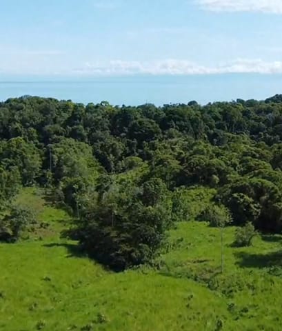 Bahía Drake: Un Paraíso de 17 Hectáreas en Osa (Cantón)