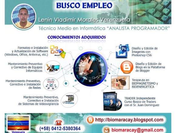 Analista Programador y Terapeuta en Biomagnetismo en Santiago (Comuna)