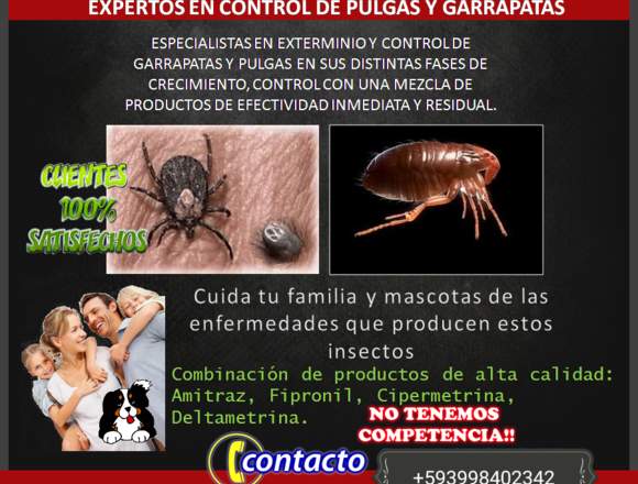 Fumigaciones Expertos en Ratas Todo Tipo de Plagas