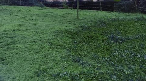TERRENOS URBANOS PARA CONSTRUIR