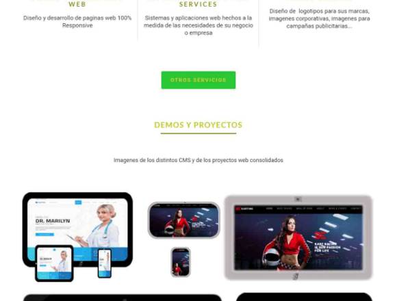 Diseño y desarrollo de paginas web en Mario Briceño Iragorry (Municipio)