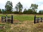 Vendo Parcela En Lagunita De Frutillar
