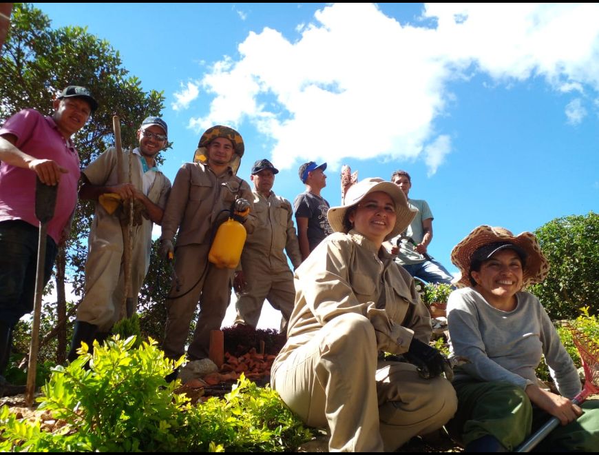 CURSO DE JARDINERIA Y PAISAJISMO