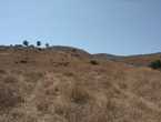 hectareas de terreno en Playas de Rosarito (Municipio)