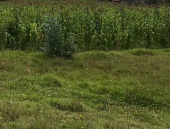 VENDO TERRENO EN LA RAYA en Cuenca (Cantón)