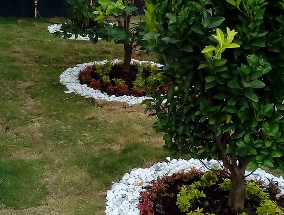 Lo apropiado para tus zonas verdes en Caicedonia (Municipio)
