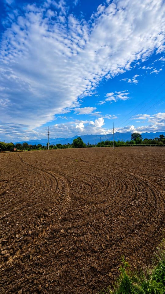 Se vende finca plana en la tebaida, Quindío, Colombia. en La Tebaida (Municipio)