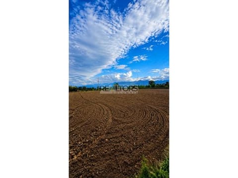 Se vende finca plana en la tebaida, Quindío, Colombia.