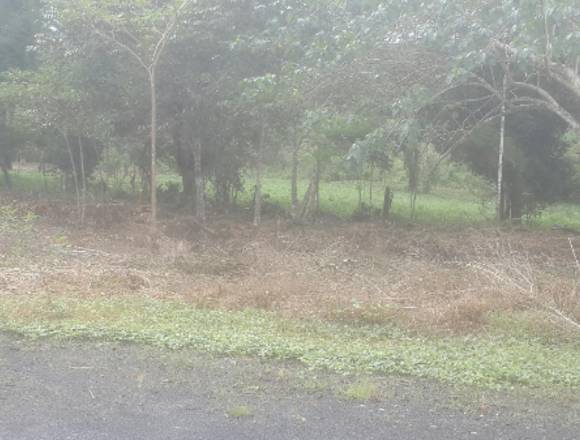 VENDO TERRENO EN EL GIRAL , VIA TRANSISMICA. en Colón (Distrito)