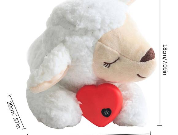 Juguete de peluche para perros y gatos en Oaxaca de Juárez (Municipio)