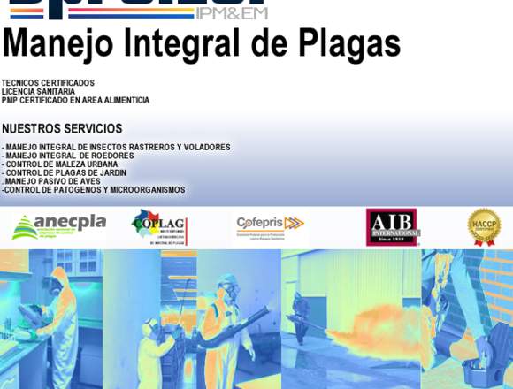 Spreizer Control de Plagas en Gustavo A. Madero (Municipio)