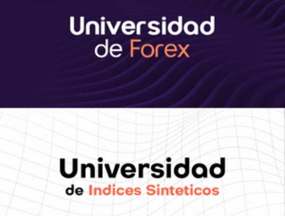 Universidad de Indices Sinteticos