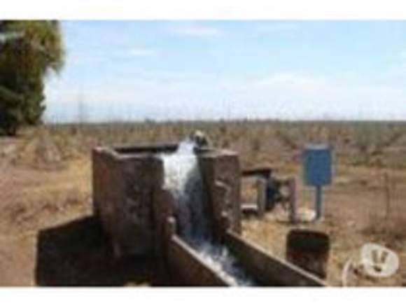 Finca 90 hta con casa en Mendoza (Localidad)