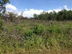 Vendo Terreno en Potrerillos Arriba, Chiriqui en Panamá (Distrito)